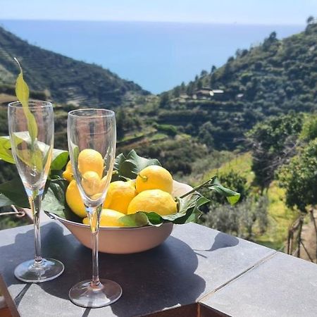 Villa ☆ Terrace & Relax ☆ Casa Franceschin_ Homy 5 Terre à Riomaggiore Extérieur photo